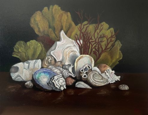 Shells