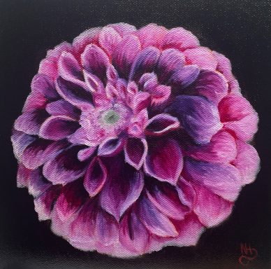 Dahlia